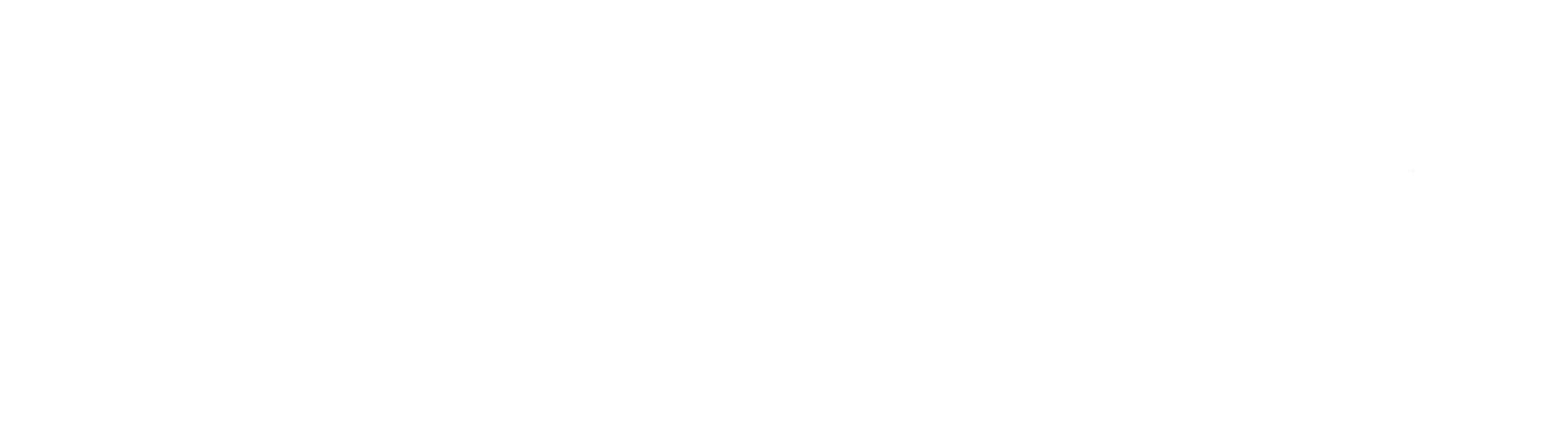 Tripzygo Logo